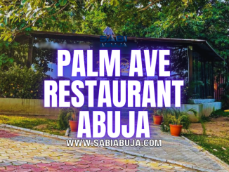 Palm Ave Restaurant Abuja