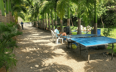 Outdoor Games and Sports