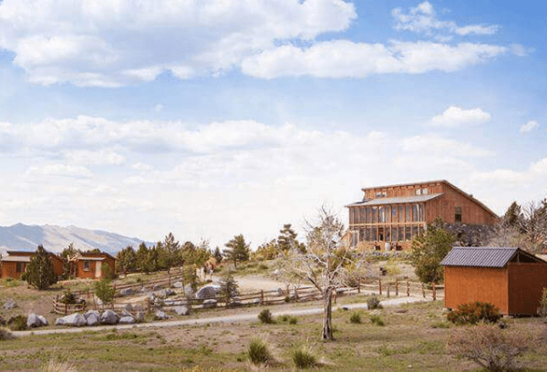 Animal Ark Wildlife Sanctuary