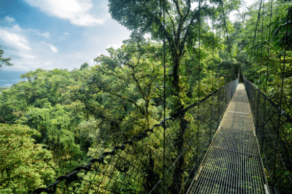 Belize’s Rainforests and Wildlife