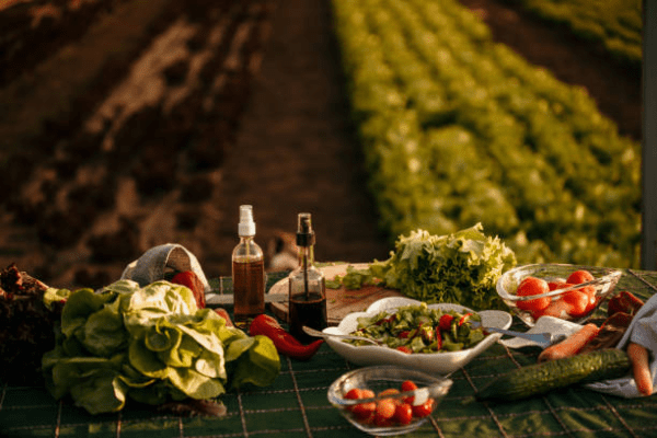 Farm-to-Table Dining