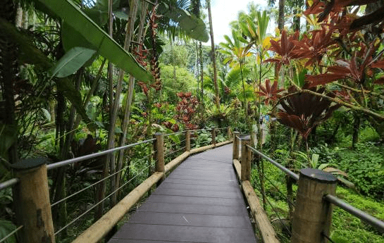 Hawaii Tropical Bioreserve & Garden
