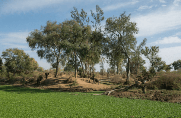 Mosi-oa-Tunya National Park
