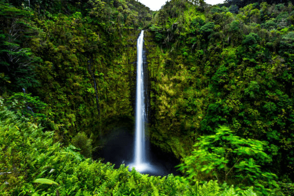 Visit Akaka Falls State Park