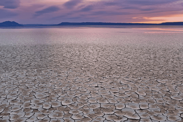 Alvord Desert