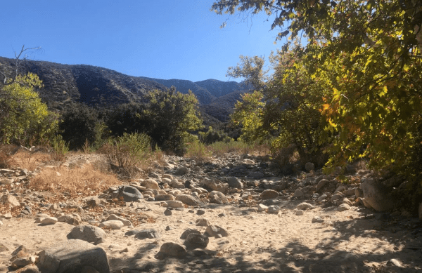 Hiking
