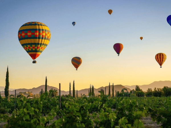 Hot Air Balloon Ride at Sunrise