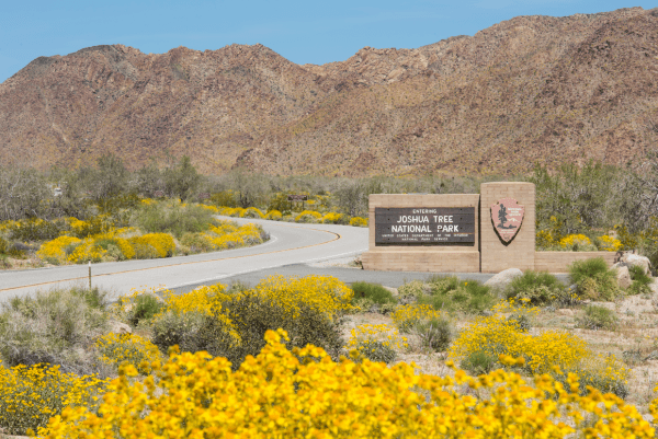 Joshua Tree National Park
