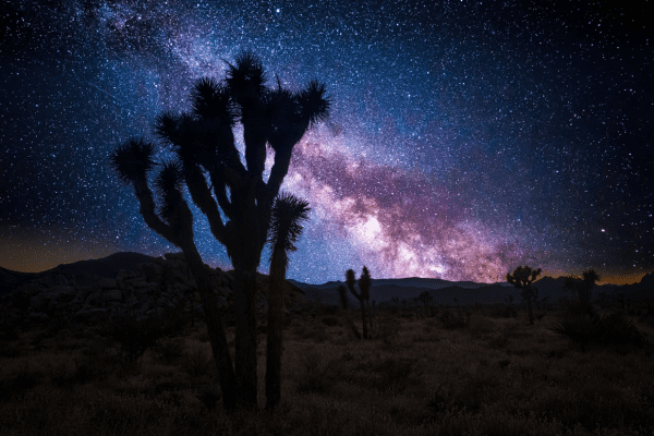 Stargazing