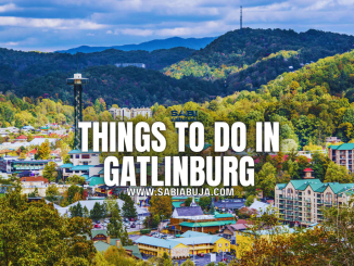 Things to Do in Gatlinburg