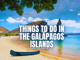 Things to Do in the Galápagos Islands