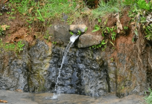 Varkala Natural Springs
