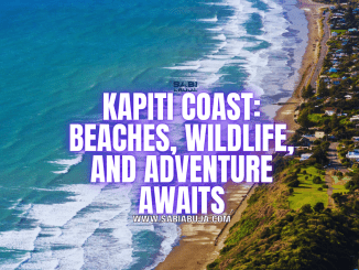 Things to Do in Kapiti Coast