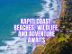 Things to Do in Kapiti Coast