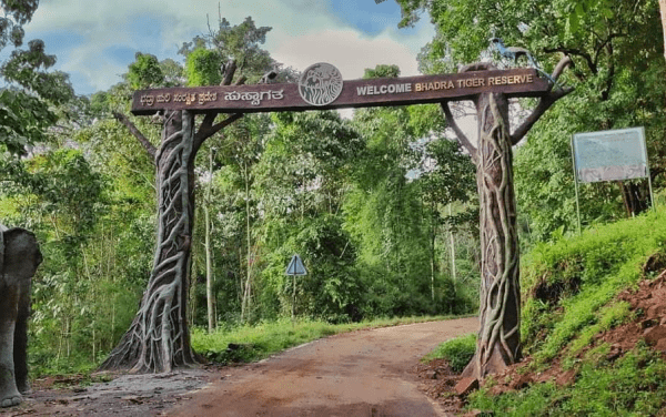 Bhadra Wildlife Sanctuary