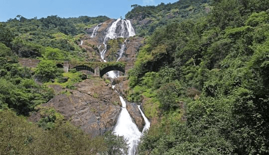 Bhagwan Mahavir Wildlife Sanctuary