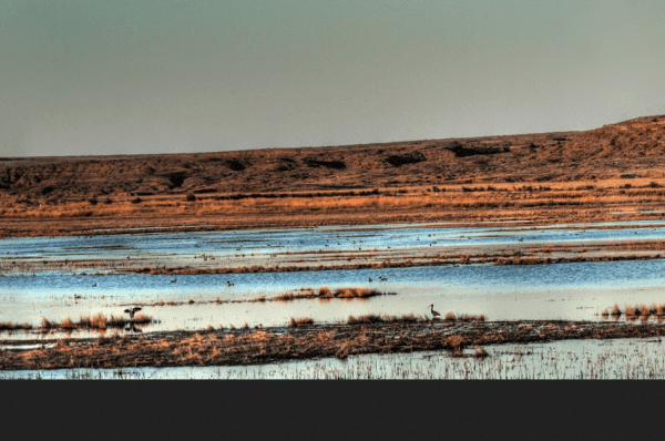 Bitter Lake National Wildlife Refuge