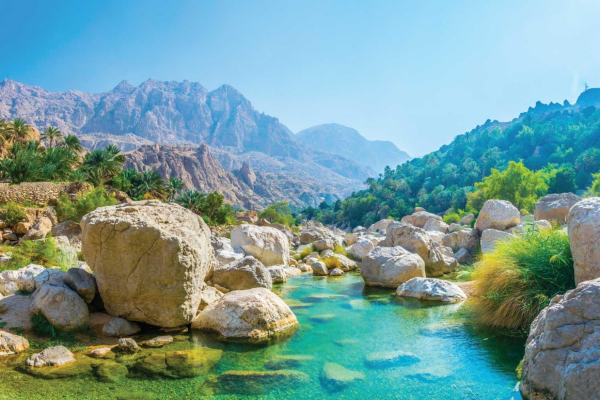 Day Trip to Wadi Shab