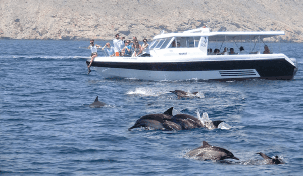 Dolphin Watching Tour