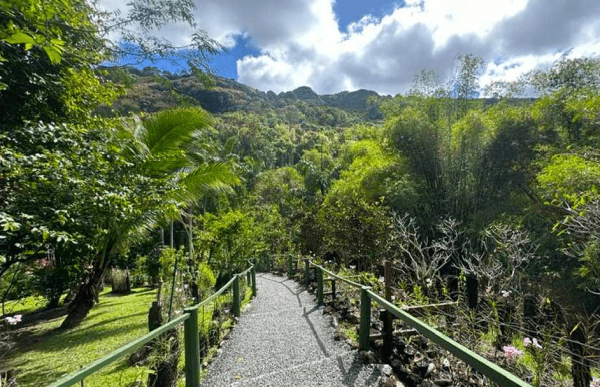 Garden of the Sleeping Giant