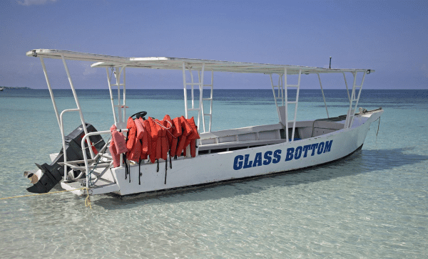 Glass-Bottom Boat Tour