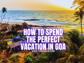 Things to Do in Goa