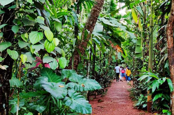 Goa’s Spice Plantations