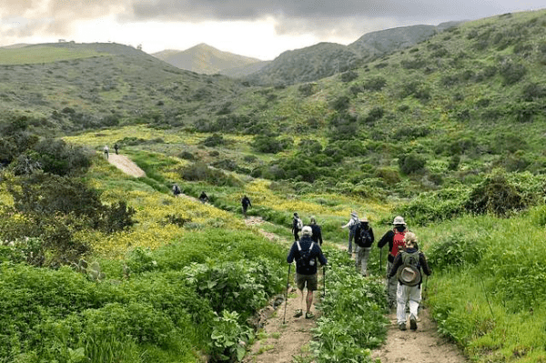 Hiking on Catalina Island’s Scenic Trails