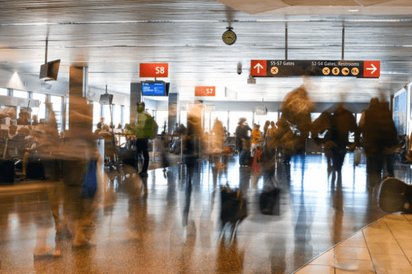 Immigration Checks
