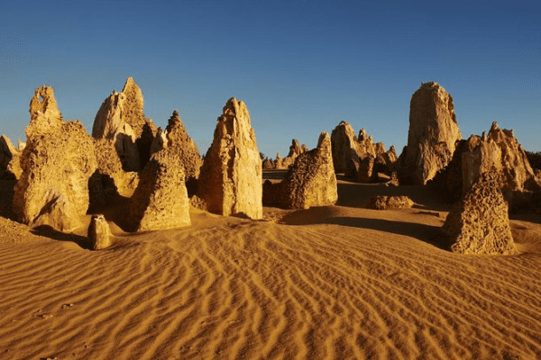 Pinnacles Desert (Day Trip)