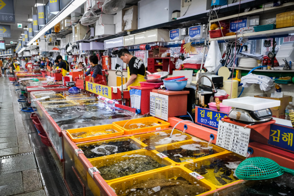 Seafood at Jagalchi Fish Market