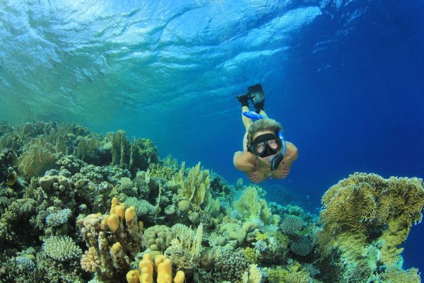 Snorkeling and Scuba Diving in Key West