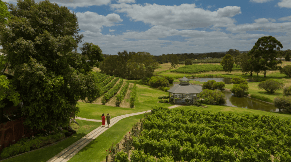 Swan Valley – Perth’s Wine Region