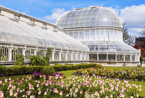 Ulster Museum and Botanic Gardens
