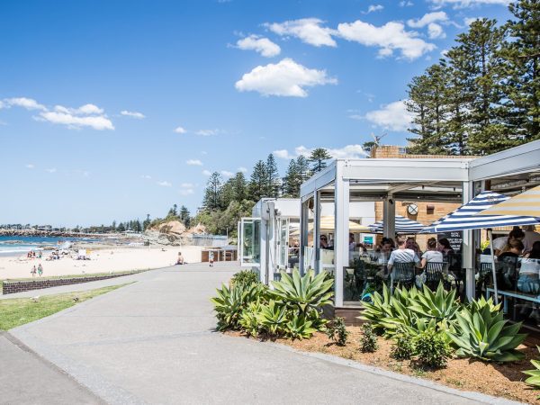 Beachside Cafés and Local Breweries