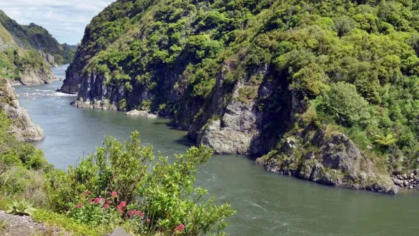 Beautiful Te Apiti - Manawatu Gorge