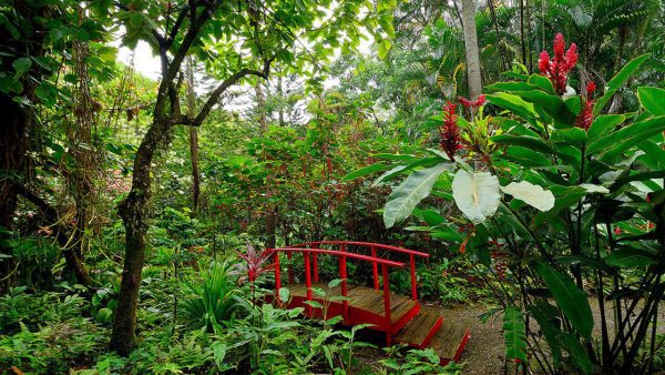 Botanical Gardens