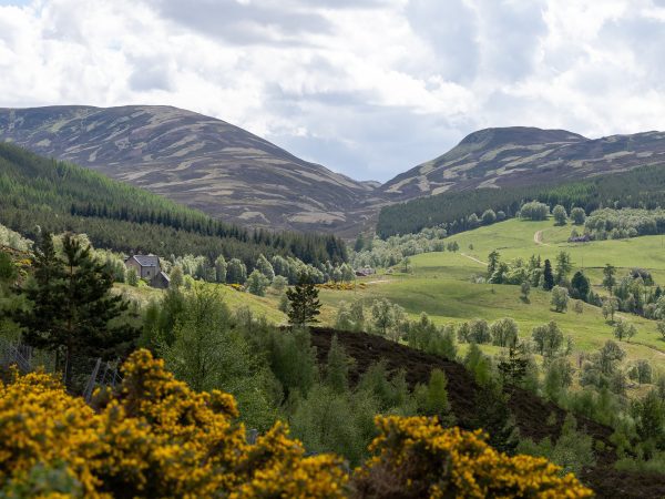 Cairngorms National Park