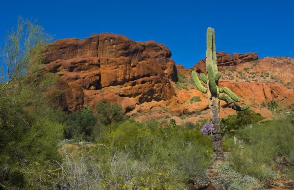 Camelback Mountain