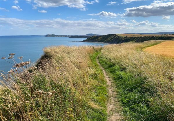 Coastal Walk Along the Cleveland Way