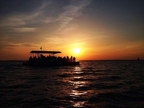 Dolphin or Sunset Cruise