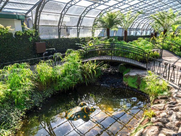 Duthie Park and the Winter Gardens