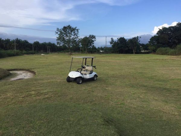 Golf Cart