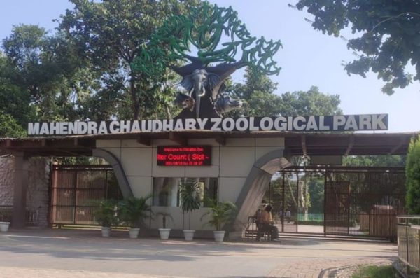 Morni Hills or Chhatbir Zoo