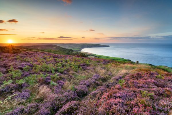 North York Moors