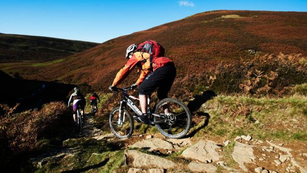 Off-Roading or Mountain Biking