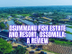 Osummanu Fish Estate and Resort