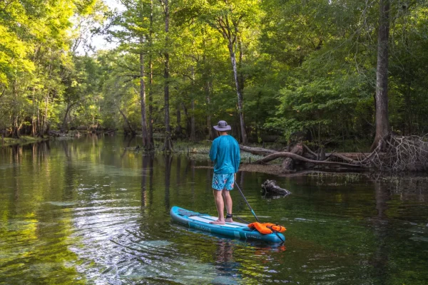 Paddleboard in the Back River