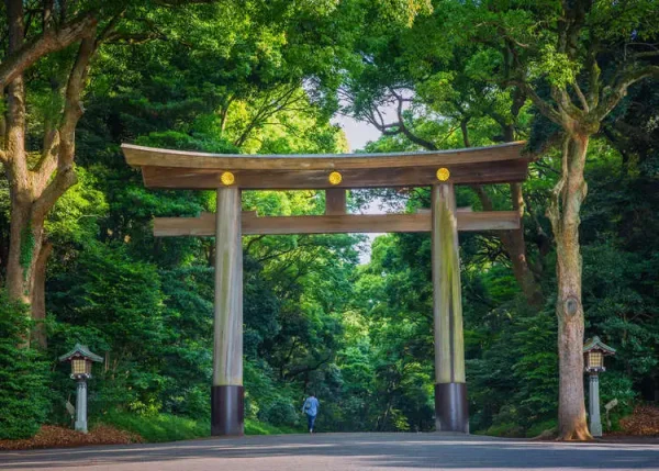 Peace at Meiji Shrine (Nearby)