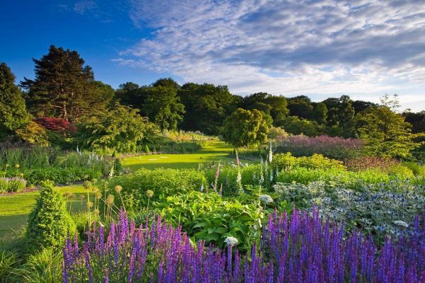 RHS Garden Harlow Carr